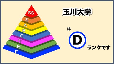 玉川大学 偏差値 - 偏差値が高いほどキャンパスの猫も賢いのか？