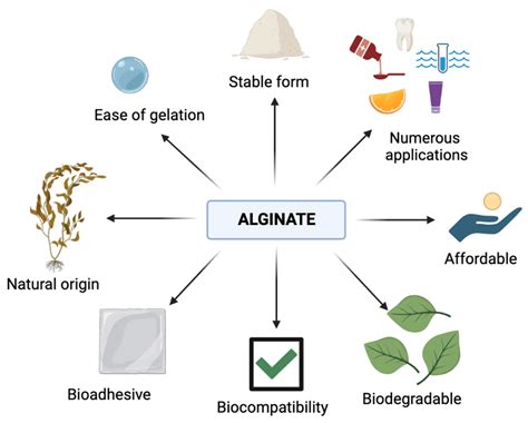  Alginate: Ứng dụng đa dạng trong y tế và nông nghiệp!