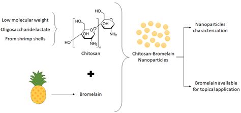  Bromelain – Tính Chất Hoá Học và Ứng Dụng Tiềm Tàng Trong Ngành Công Nghiệp Dệt May!