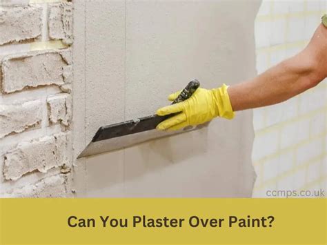 Can You Paint Over Plaster? Exploring the Possibilities and Techniques