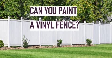 Can You Paint Vinyl Fencing? Exploring the Possibilities and Creative Alternatives