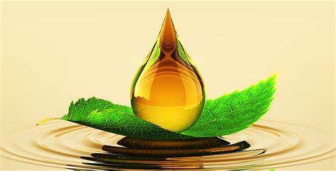  Flaxseed Oil:  Nurturing Industrial Lubricants and Eco-Friendly Coatings!