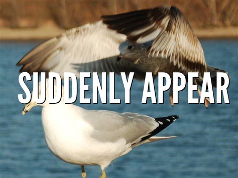 How Much Does It Cost to Paint a Garage Door, and Why Do Birds Suddenly Appear Every Time You Think About It?