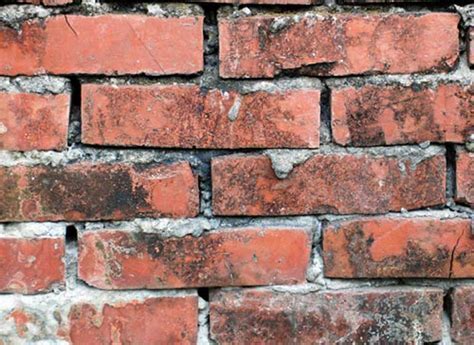 How to Remove Paint from Brick: A Journey Through Unconventional Methods and Philosophical Musings