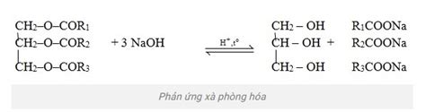  Kali Hidroxit:  Khởi Đầu Cho Các Quá Trình Trung Hòa và Sản Xuất Xà phòng?