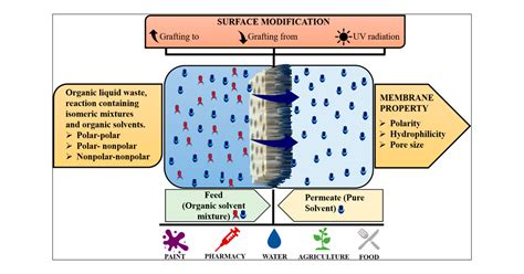  Membranes –  Vật liệu đa năng cho lọc và tách!