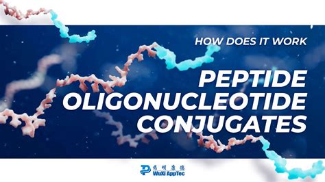  Oligonucleotide Nanostructures - Livers' New Best Friends and Cancer's Worst Nightmare!