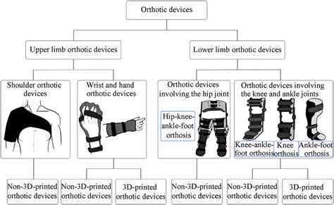  Orthotic Composites: Ứng dụng Khắc Chế và Sự Phát Triển Mới!