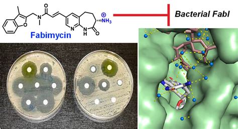 Quaternized Chitosan: Bổ Sung Tiềm năng Kháng Khuẩn Và Tính Thủy Phi Cho Ứng Dụng Y Khoa?