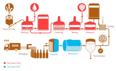  Tannin: Những Ứng Dụng Công Nghiệp Thú Vị và Quá Trình Sản Xuất Khó Nhằn!