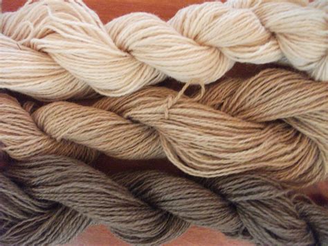  Yarn! Khám Phá Nguồn Gốc Tự Nhiên Và Ứng Dụng Đa Năng Của Loại Sợi Nay